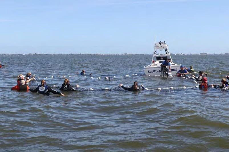 Seine net